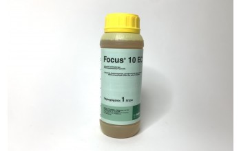 FOCUS 10 EC