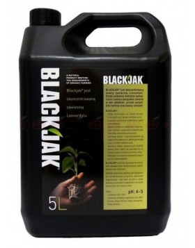 BLACKJAK