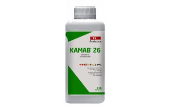 KAMAB 26 