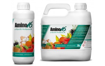 AMINO 16 ΜΕ ΒΟΡΙΟ B & ΨΕΥΔΑΡΓΥΡΟ Zn