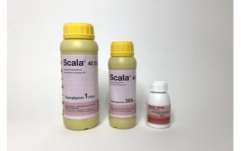 SCALA 40 SC 