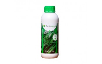 BROTAVERD IDAI NATURE 1 LT