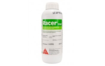 RACER 25 EC