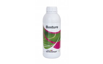 BAXTURE 1 LT