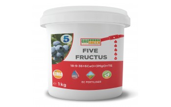 FIVE FRUCTUS 5 KG