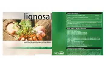 LIGNOSAL 20 LT