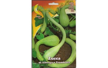 ΚΟΛΟΚΥΘΑ ZUCCA DI ALBENGA O TROMBETTA