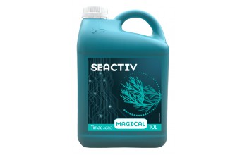 SEACTIV MAGICAL