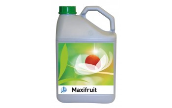 MAXIFRUIT