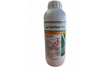 CLAVITUS 13 SL